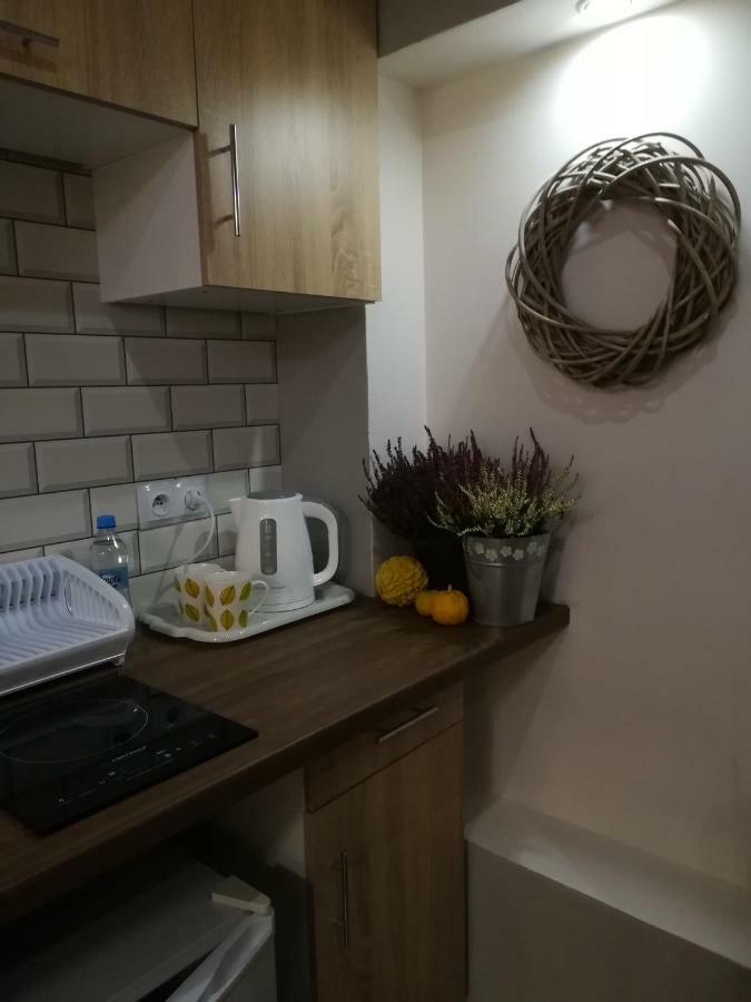 Apartament Akademicka Zamość Zewnętrze zdjęcie
